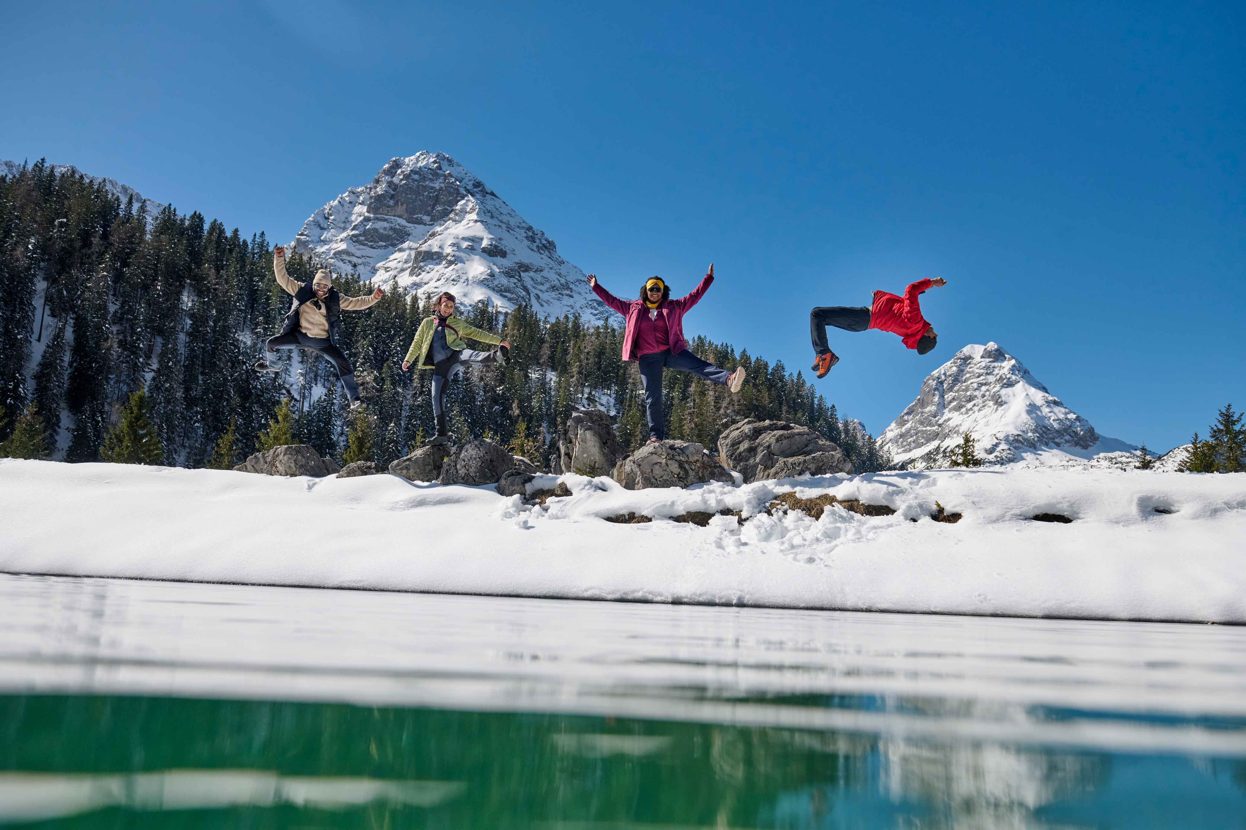 Baum, Tanne, Gebirgskette, Gipfel, Person