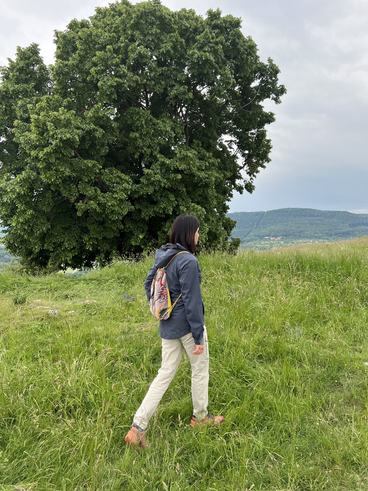 Gehen, Stehend, Baum, Gras, Hosen