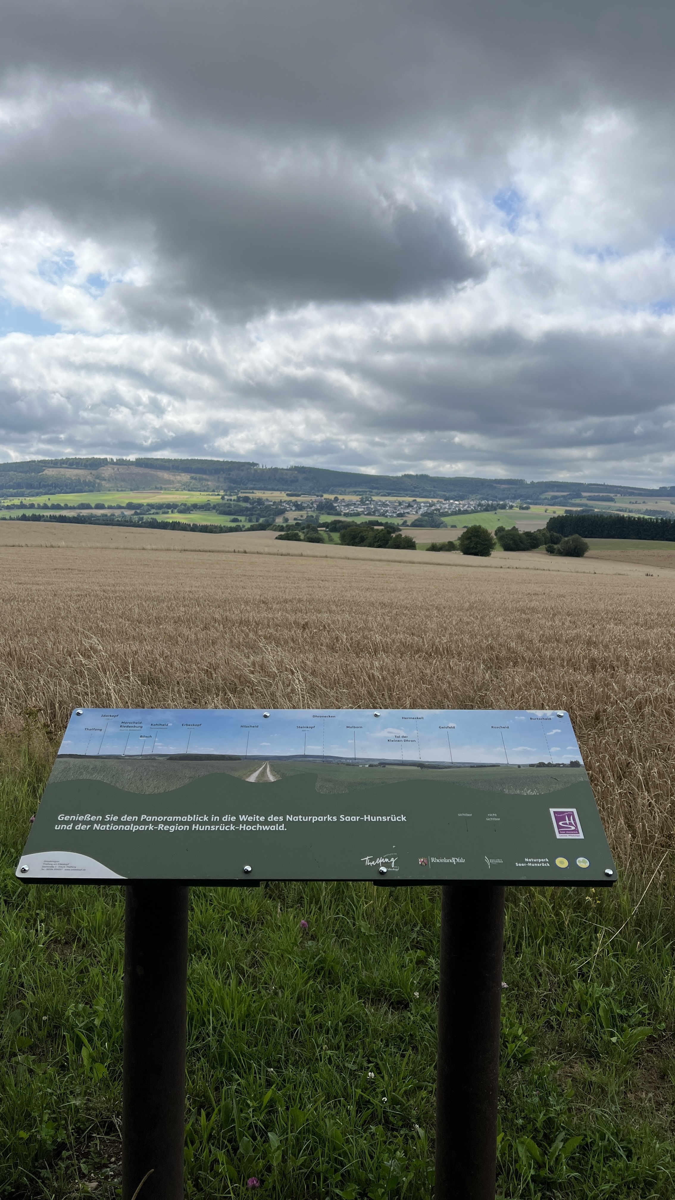 20250802_090939934_ios Kumulus, Natur, Himmel, Feld, Grünland