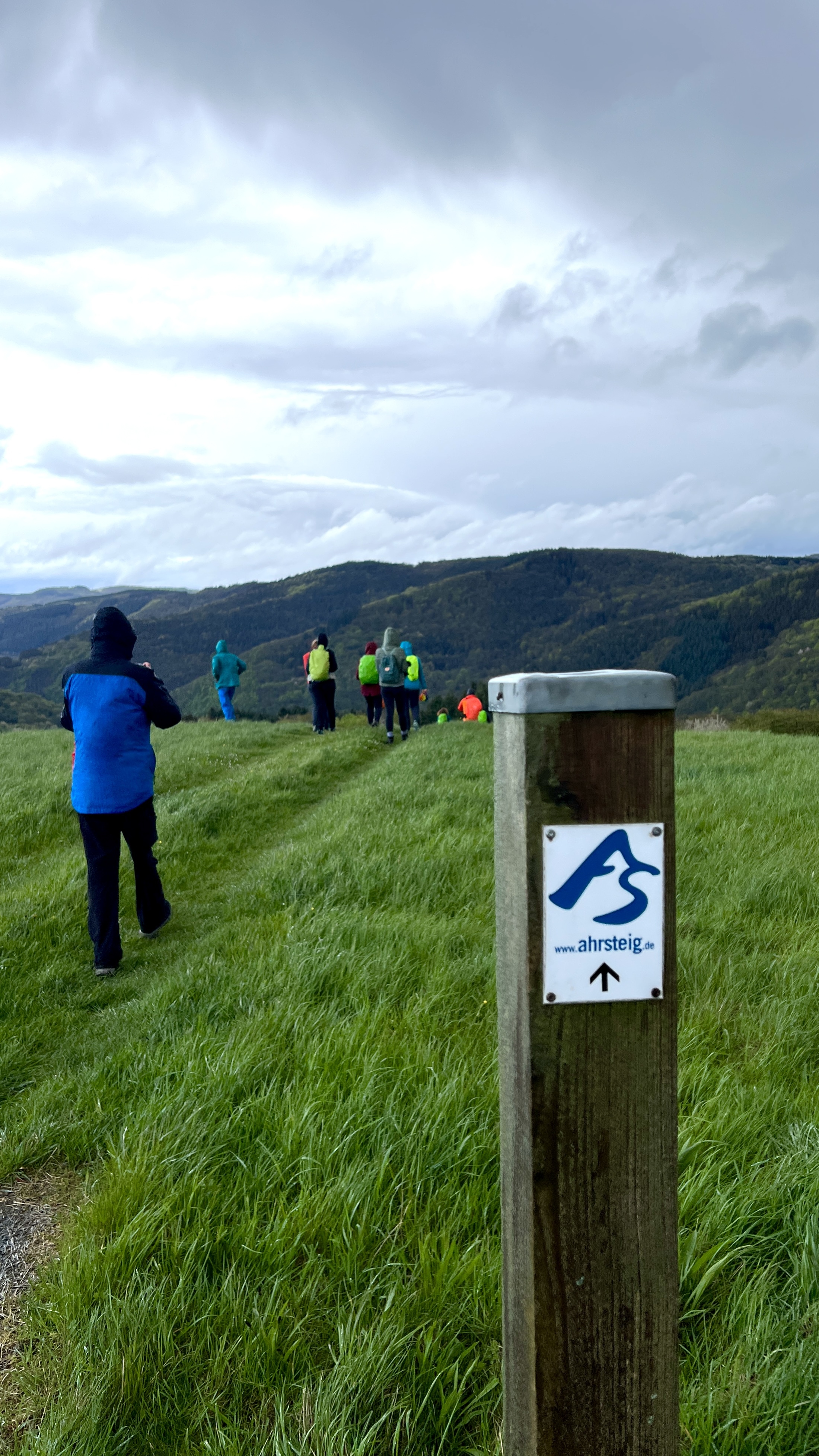 Gras, Person, Erwachsener, Männlich, Mann