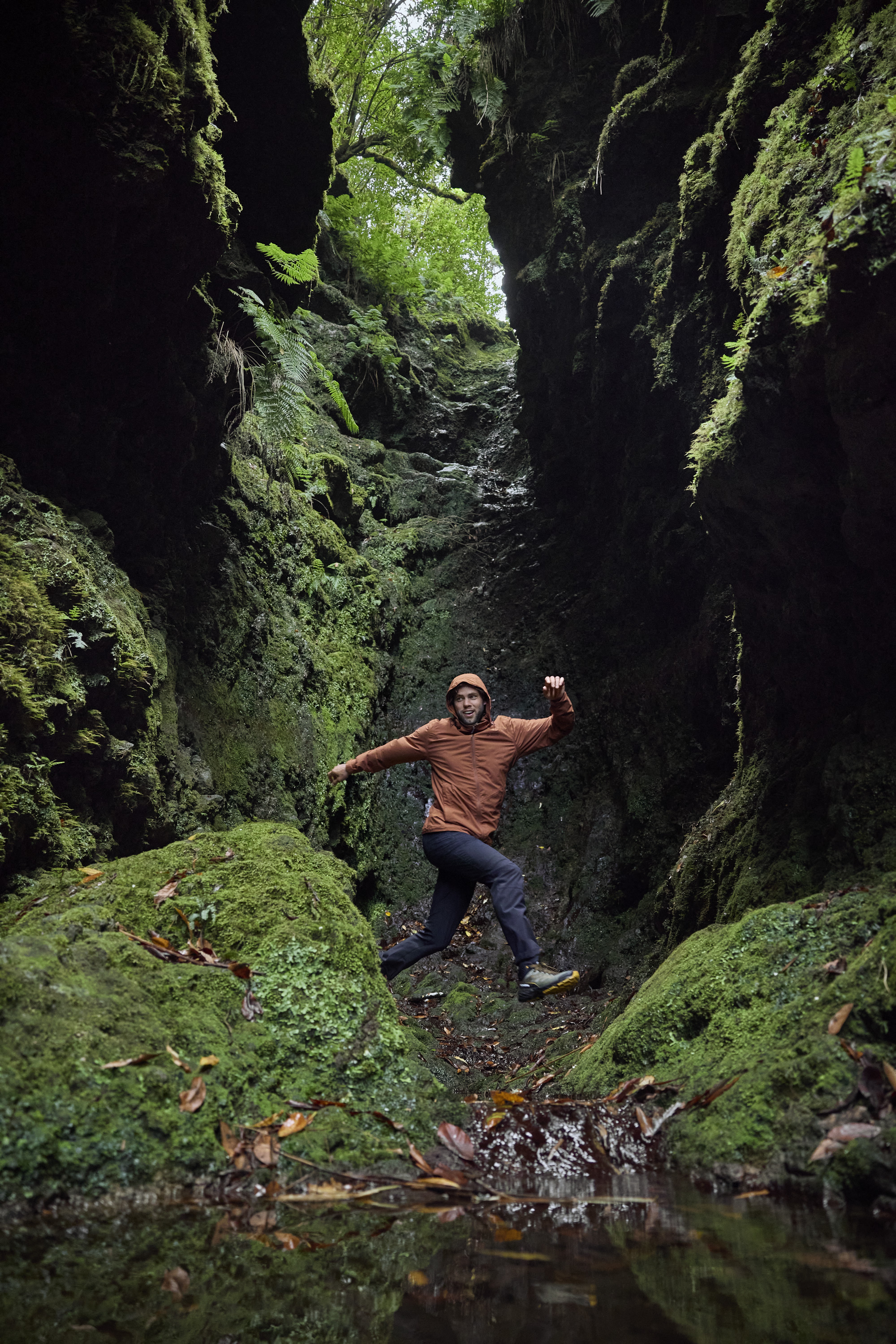 Dschungel, Vegetation, Regenwald, Fels, Moos