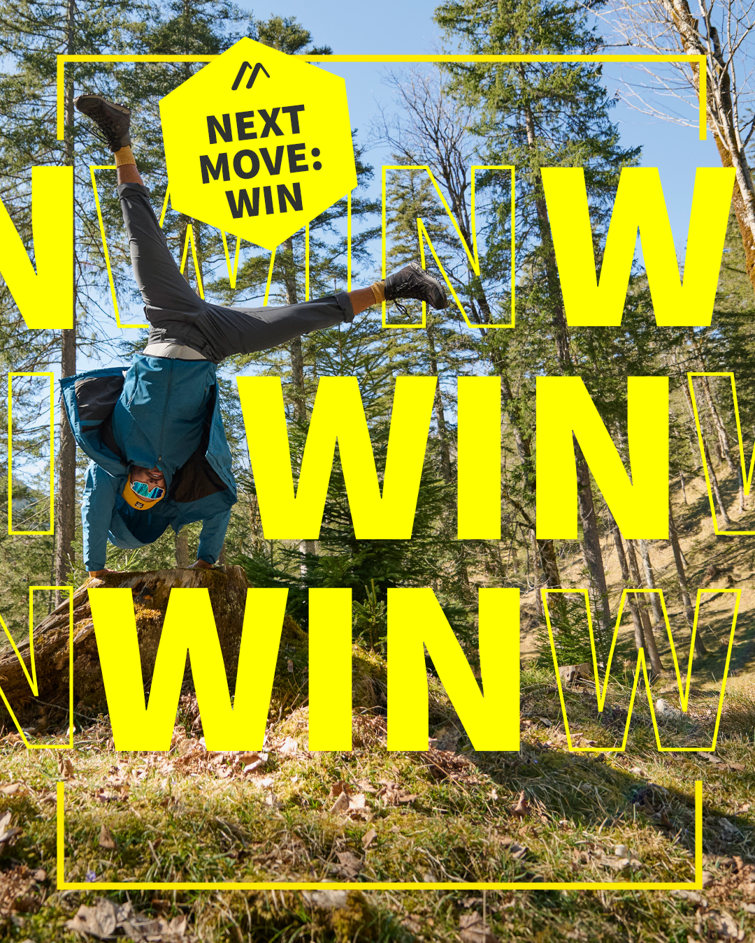 IG_Carousel_Bino_01_(1) Pflanzenwuchs, Wald, Hain, Mann, Person