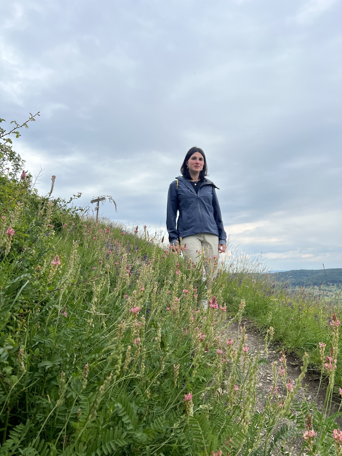 Langarm, Feld, Grünland, Hosen, Gras