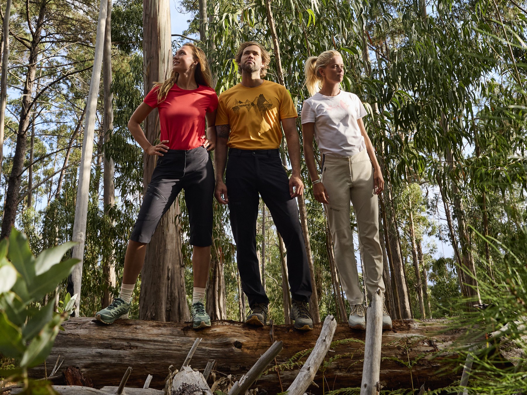 Pflanzenwuchs, Gehen, Baum, Wald, Dschungel, Gehen, Vegetation, Wandern, Baum, Hosen