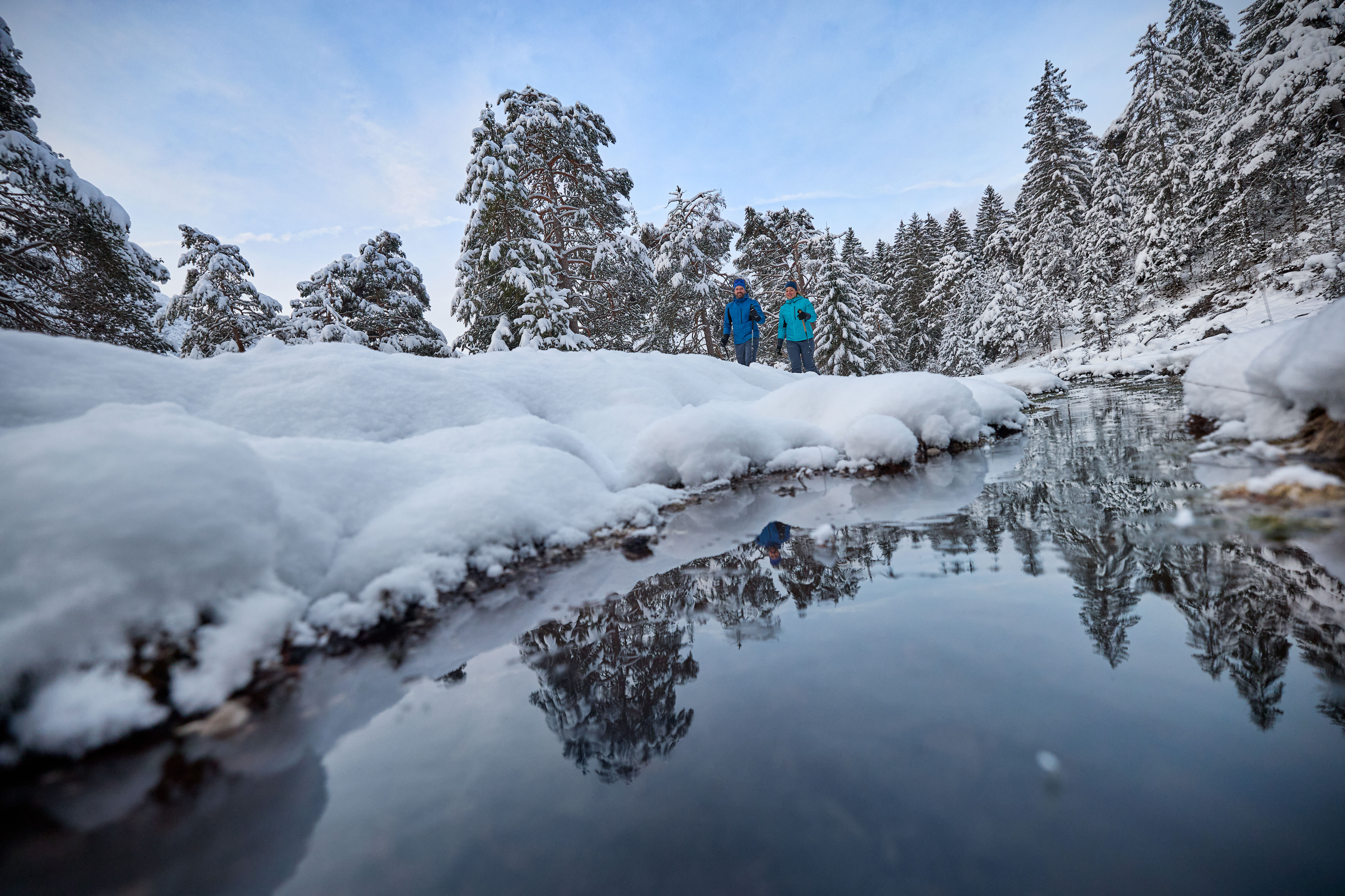 Tanne, Baum, Person, Eis, Wandern
