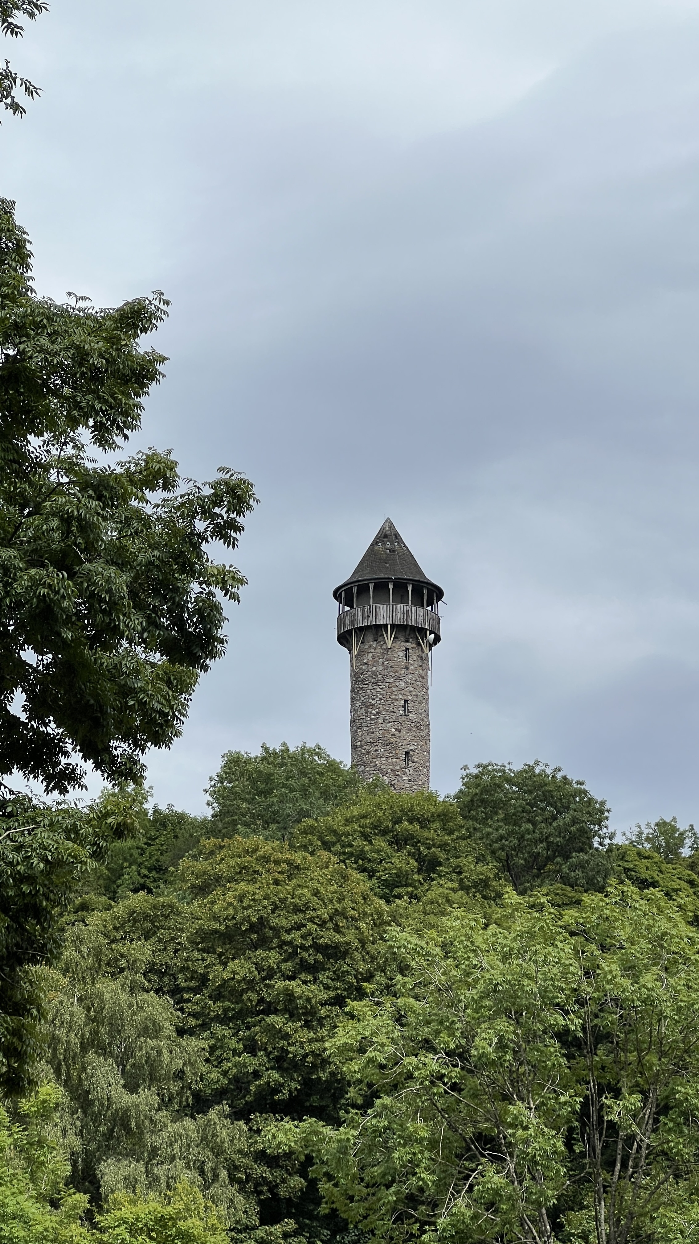 Pflanze, Baum, Gebäude, Glockenturm, Turm