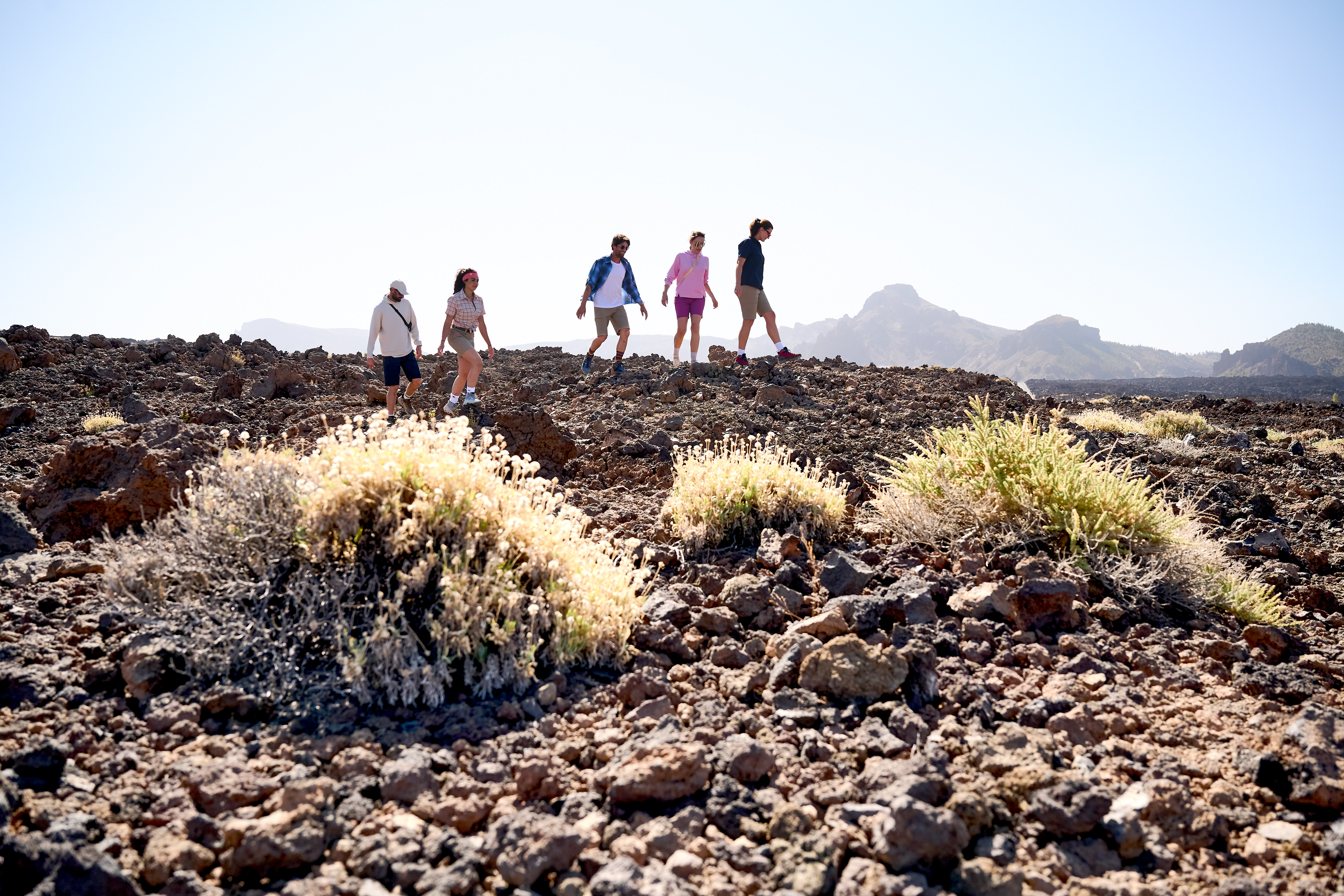 202509_Maier_Sport_Teneriffa_01859 Person, Gehen, Rock, Vegetation, Wandern