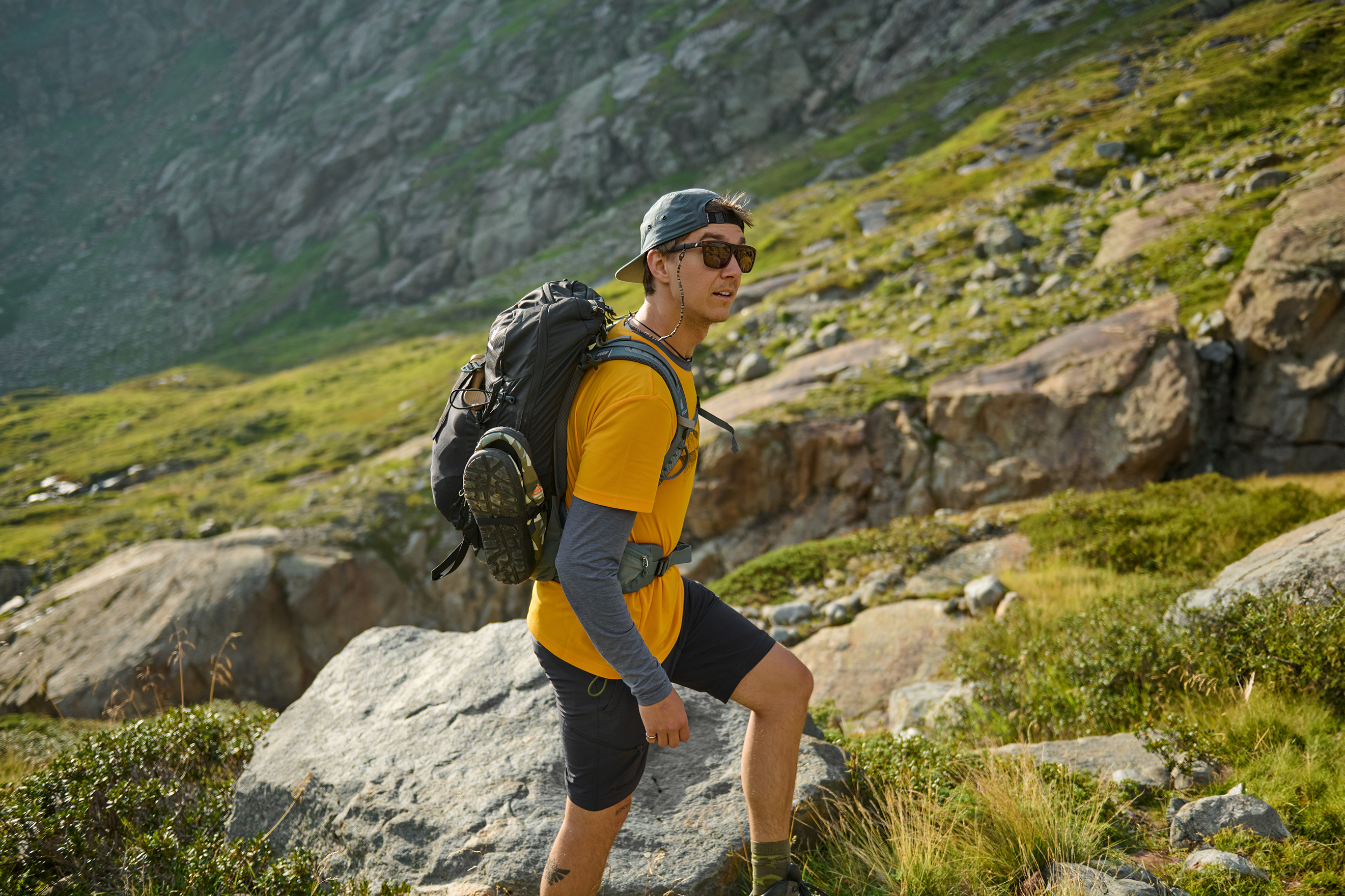 Shirts & Polos Shirts & Polos