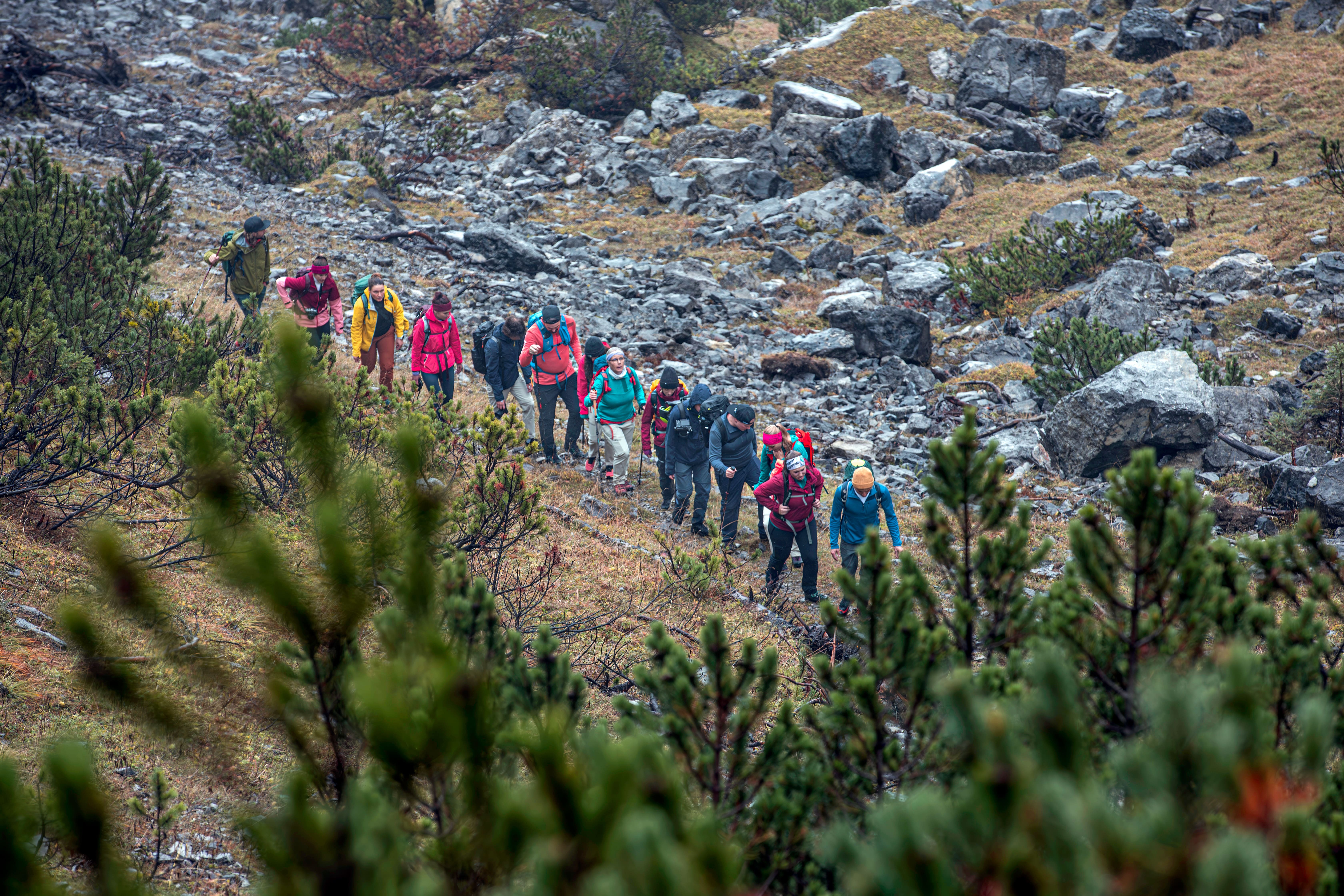 Wandern, Draußen, Person, Tasche, Rucksackreisen
