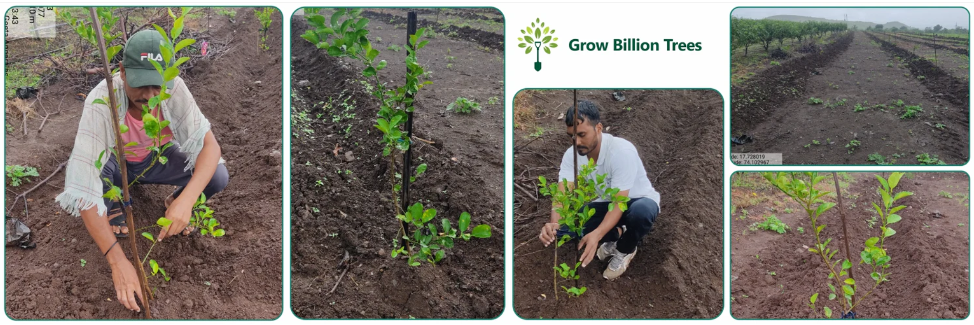 Screenshot_Grow Billion Trees_Project Garten, Draußen, Boden, Gartenarbeit, Bepflanzung