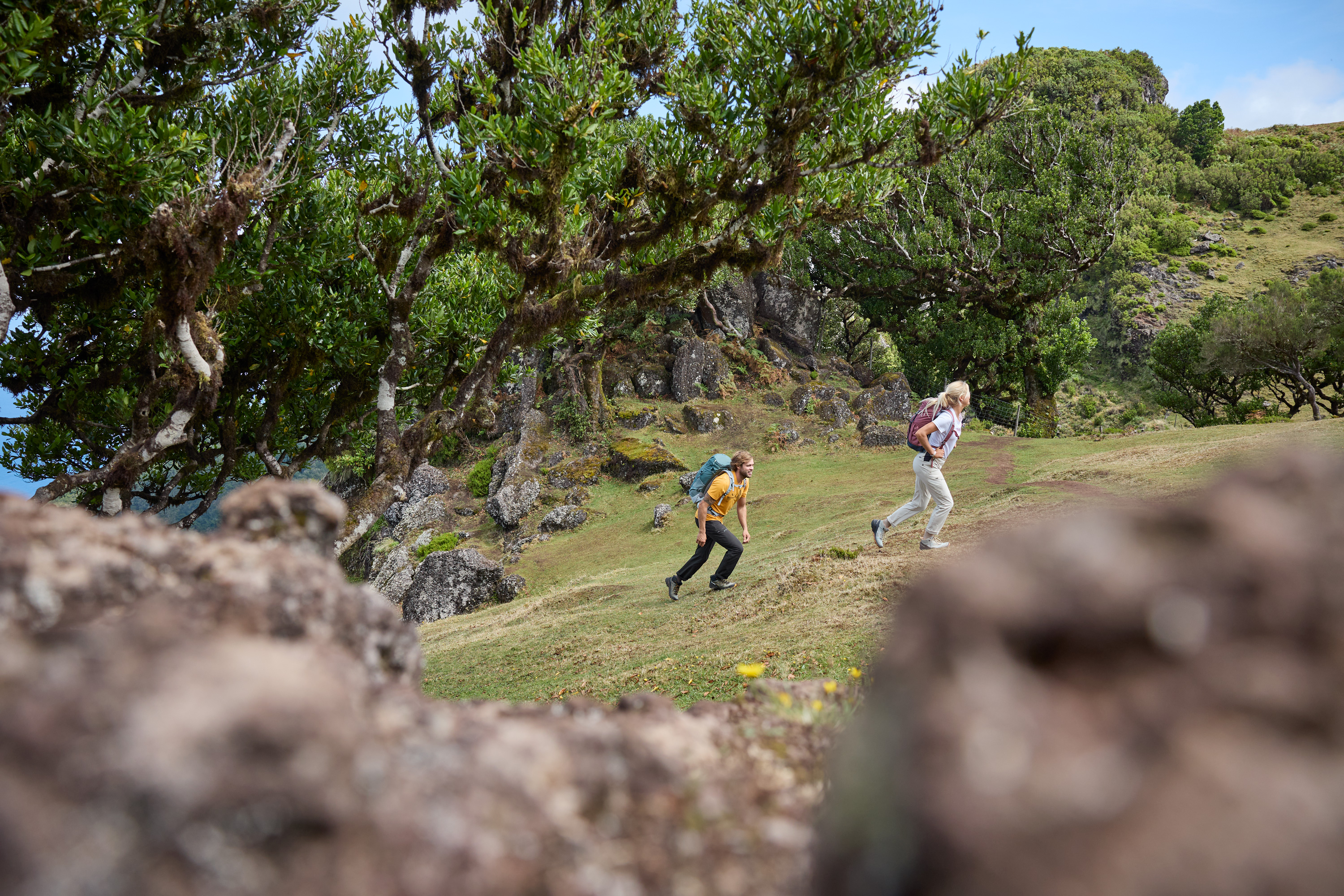BAP2348_07564_231206 Wandern, Draußen, Person, Gehen, Schuh
