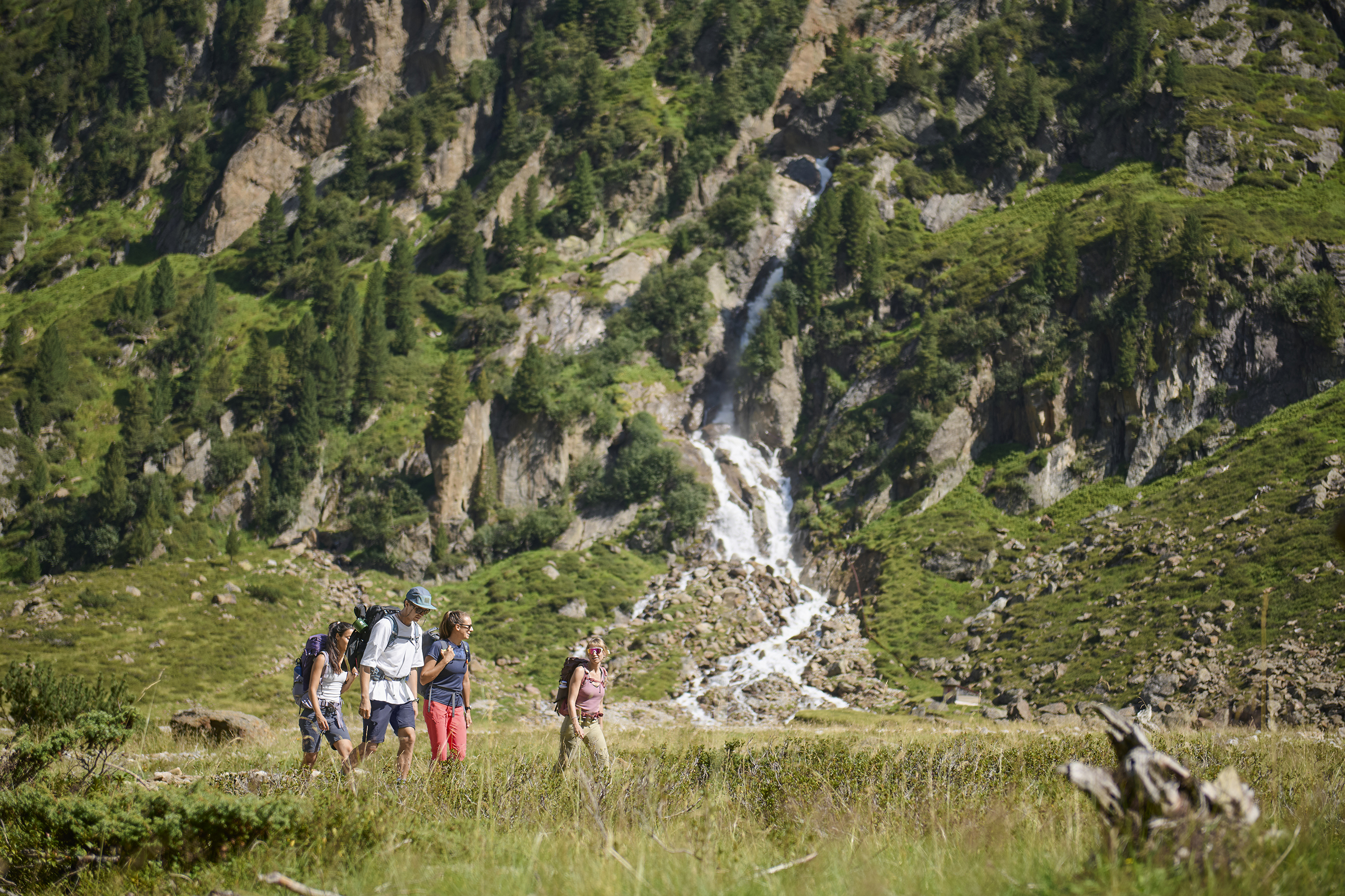 FLT2403_3694_250117 Wandern, Natur, Draußen, Wildnis, Baum