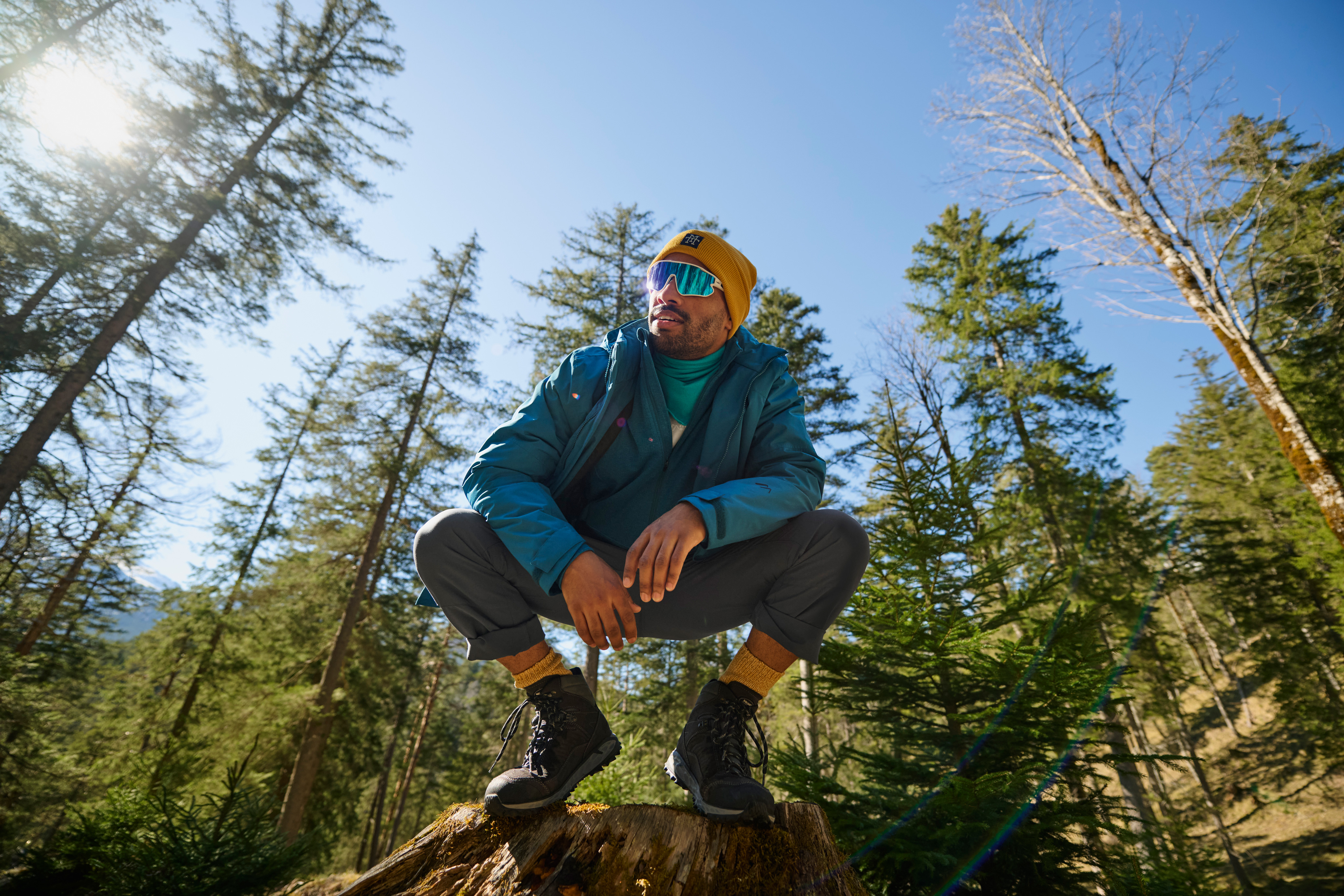 Hain, Baum, Vegetation, Wald, Wildnis