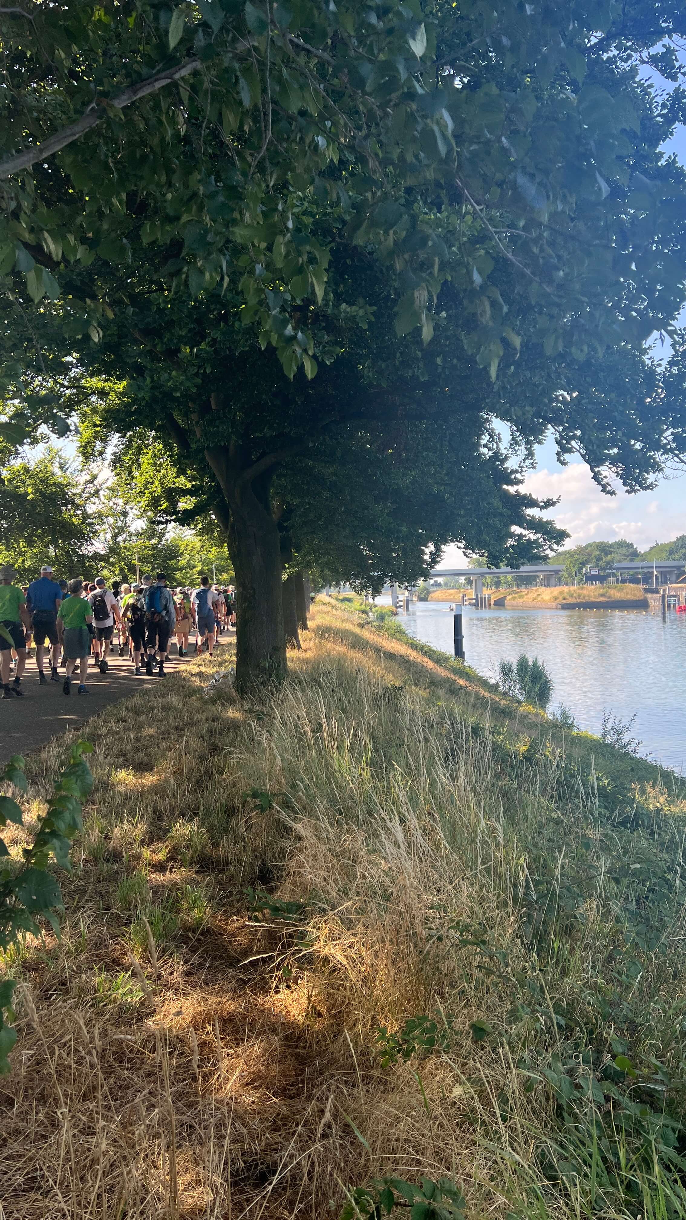 Wandern, Promenade, Baum, Ufer, Menschenmenge