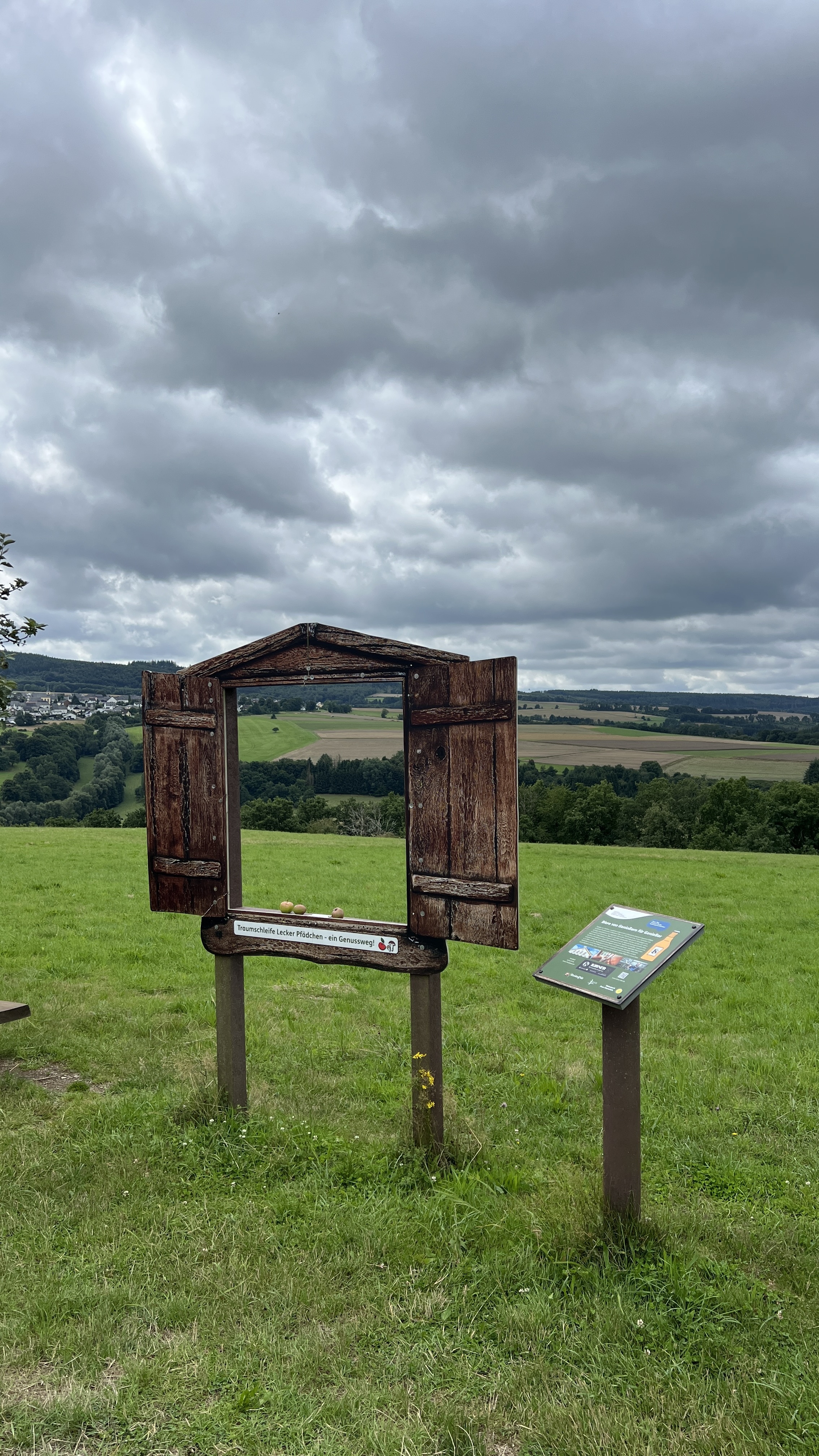 Gras, Draußen, Unterschlupf, Grünland, Natur