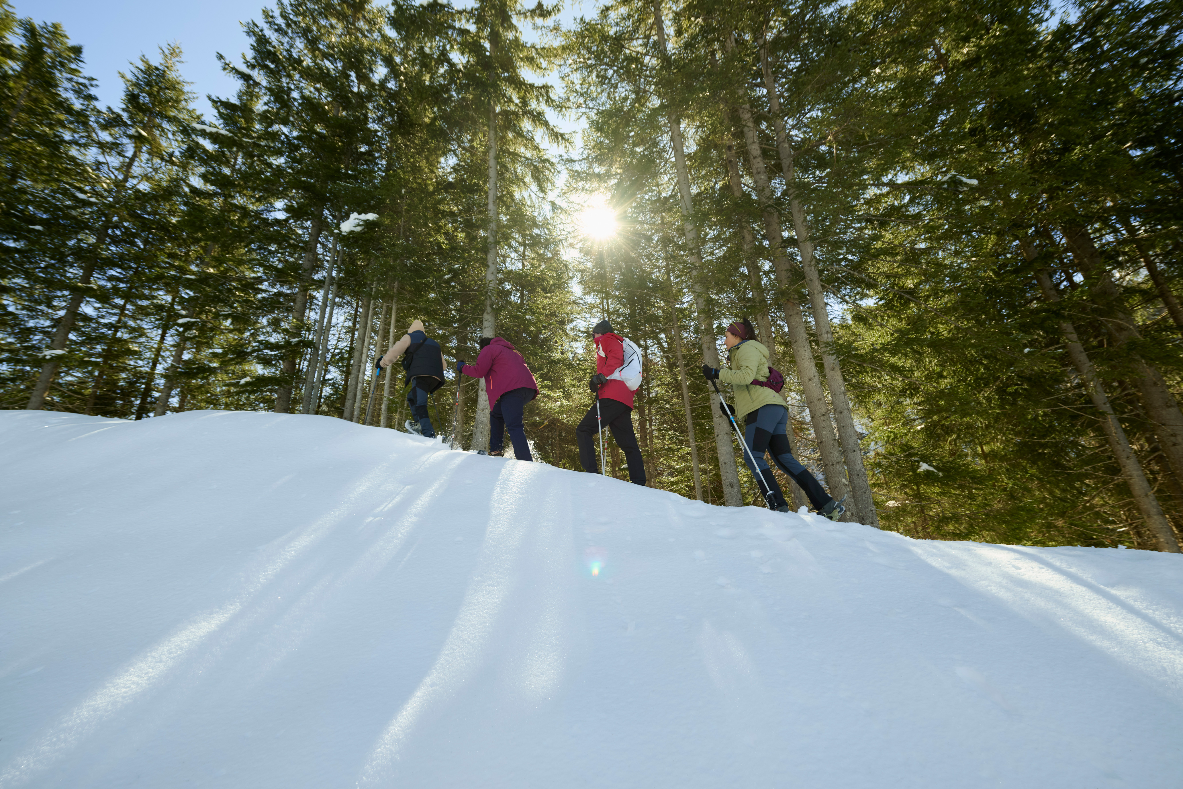 FLT2505_1608_250629 Handschuh, Natur, Draußen, Person, Vegetation