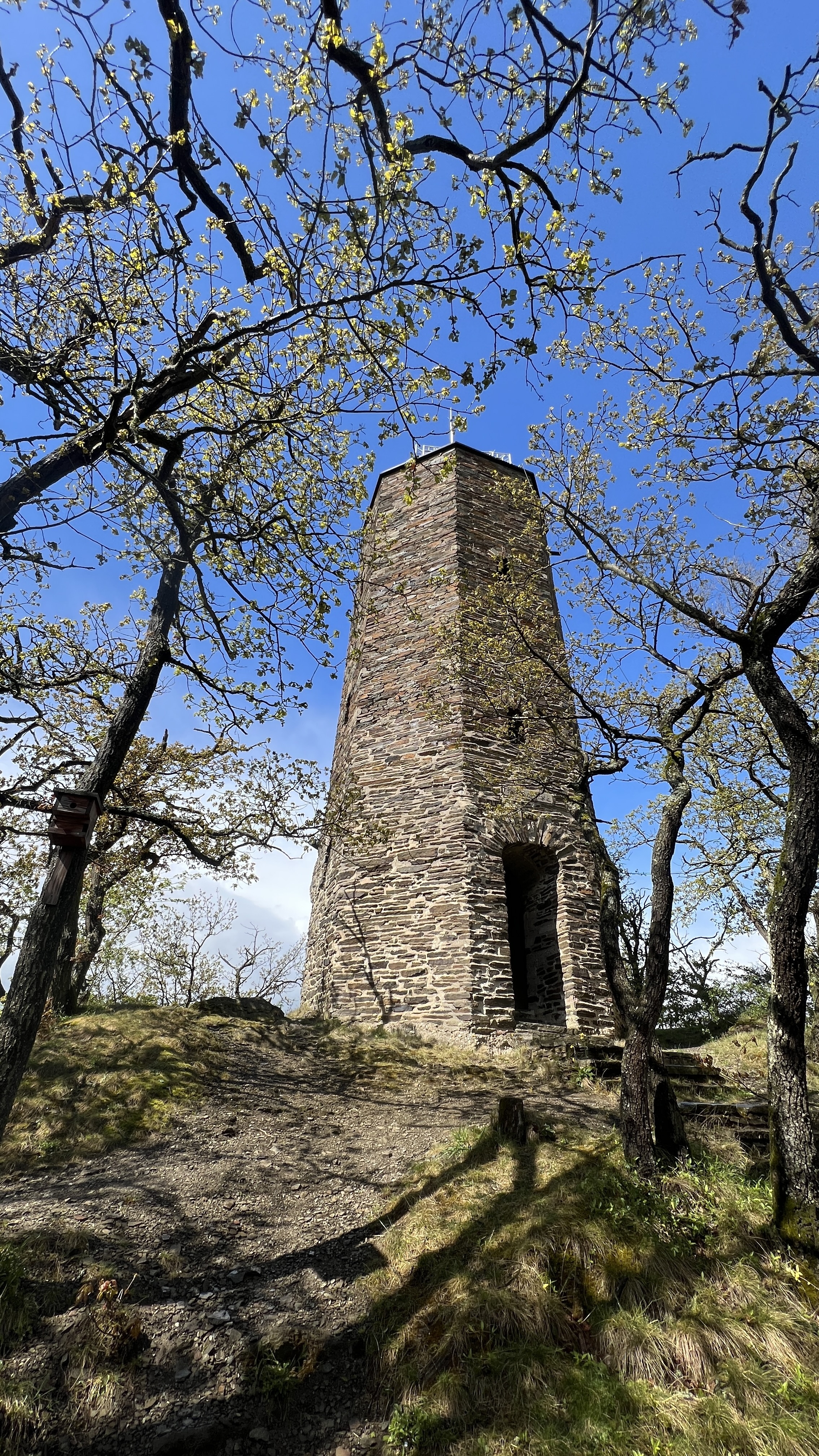 20240420_132200435_ios