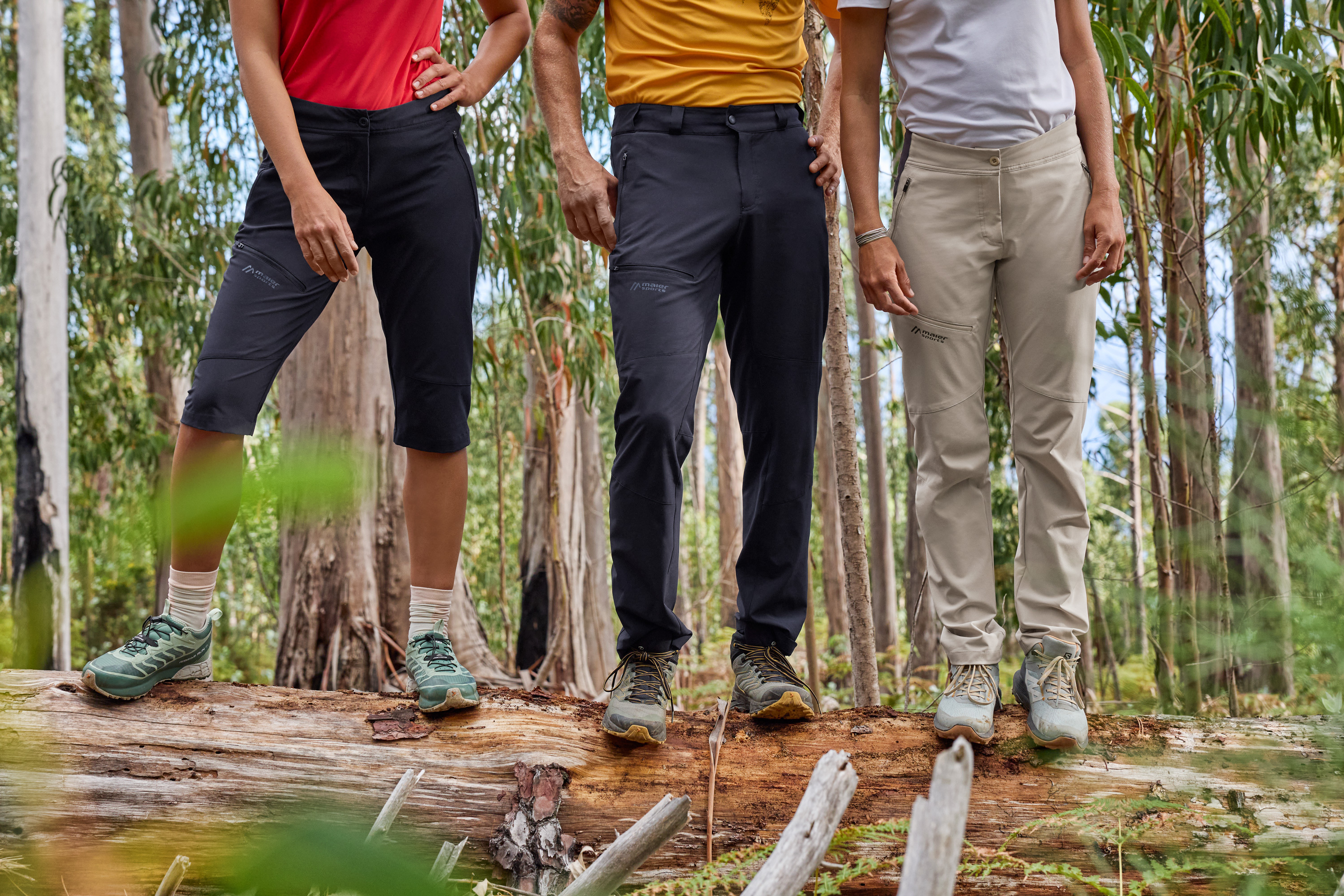 Gehen, Hosen, Baum, Bewuchs, Wandern